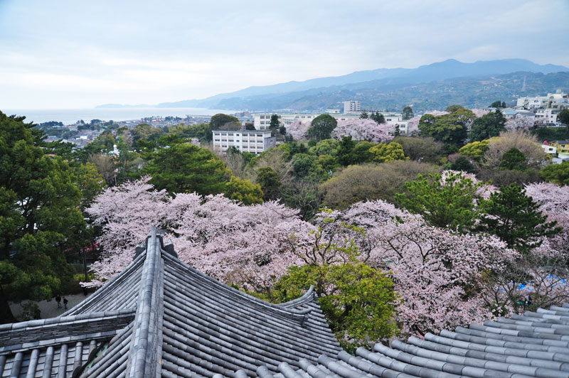 小田原城址公園 風景